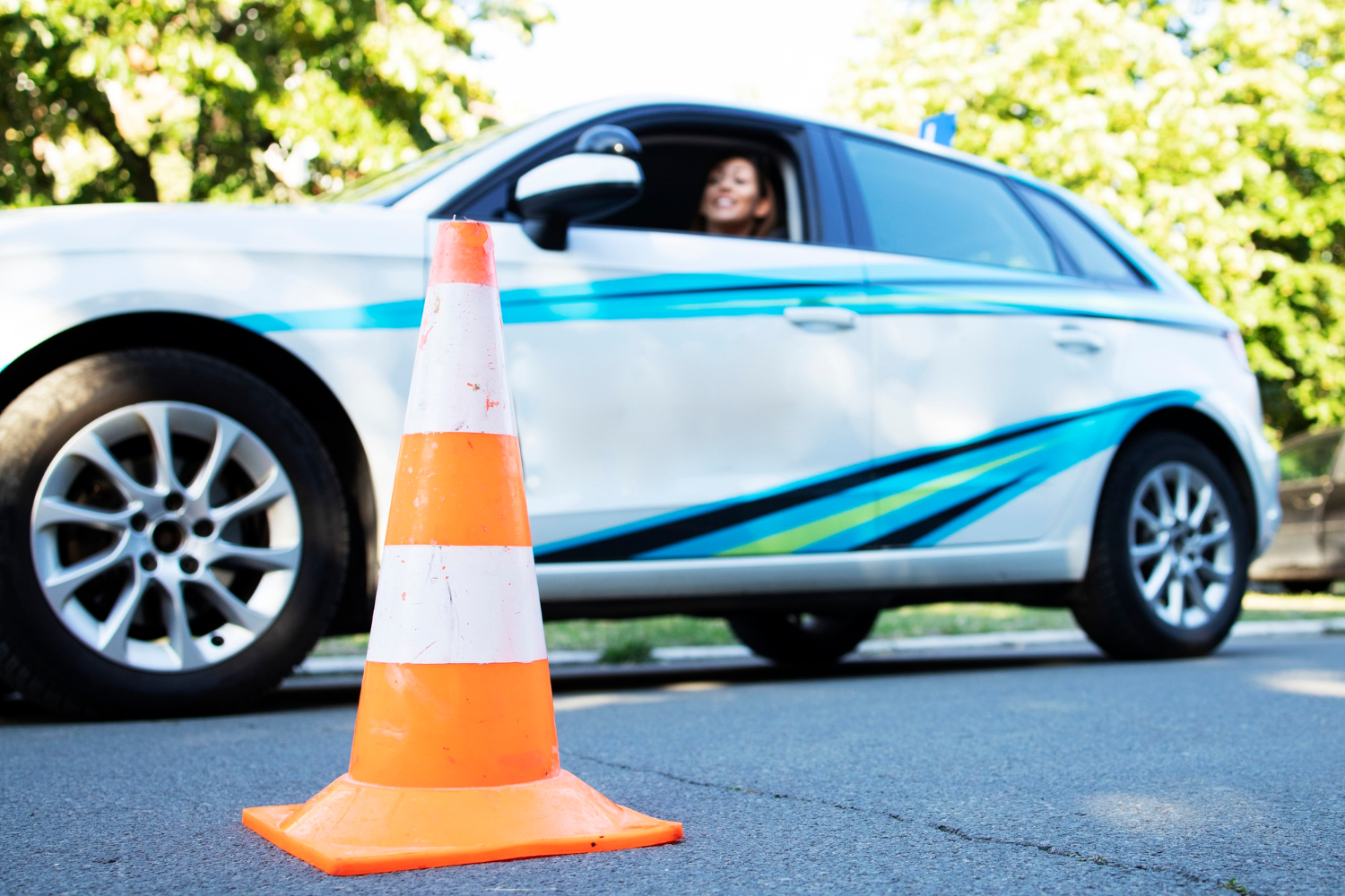 Promoting Diversity and Inclusion in Driving Instruction